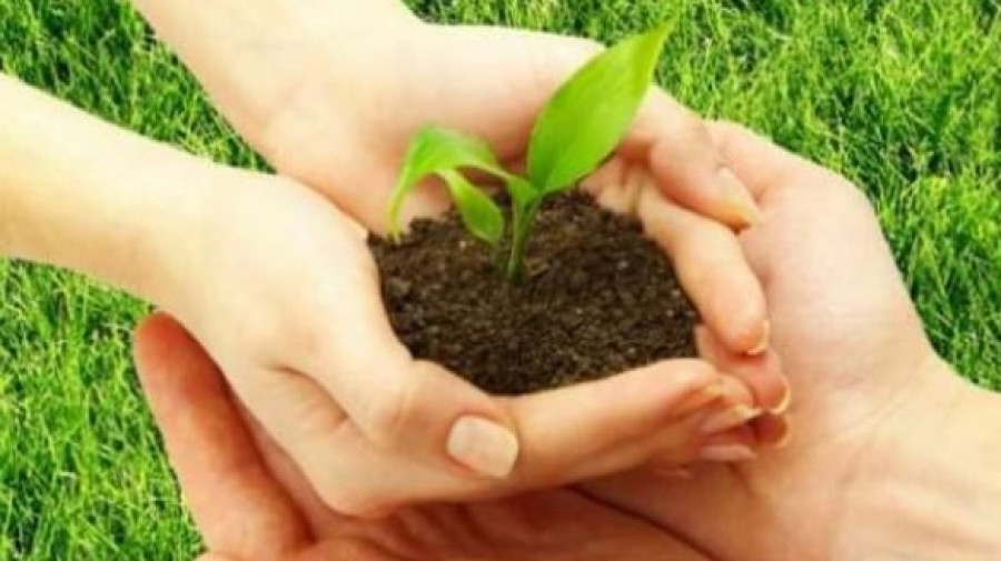 How Crypto Gains Are Feeding the Future